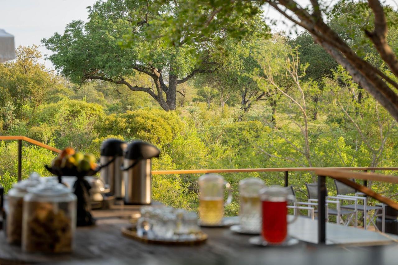 Thornybush Game Lodge Thornybush Game Reserve Exterior foto