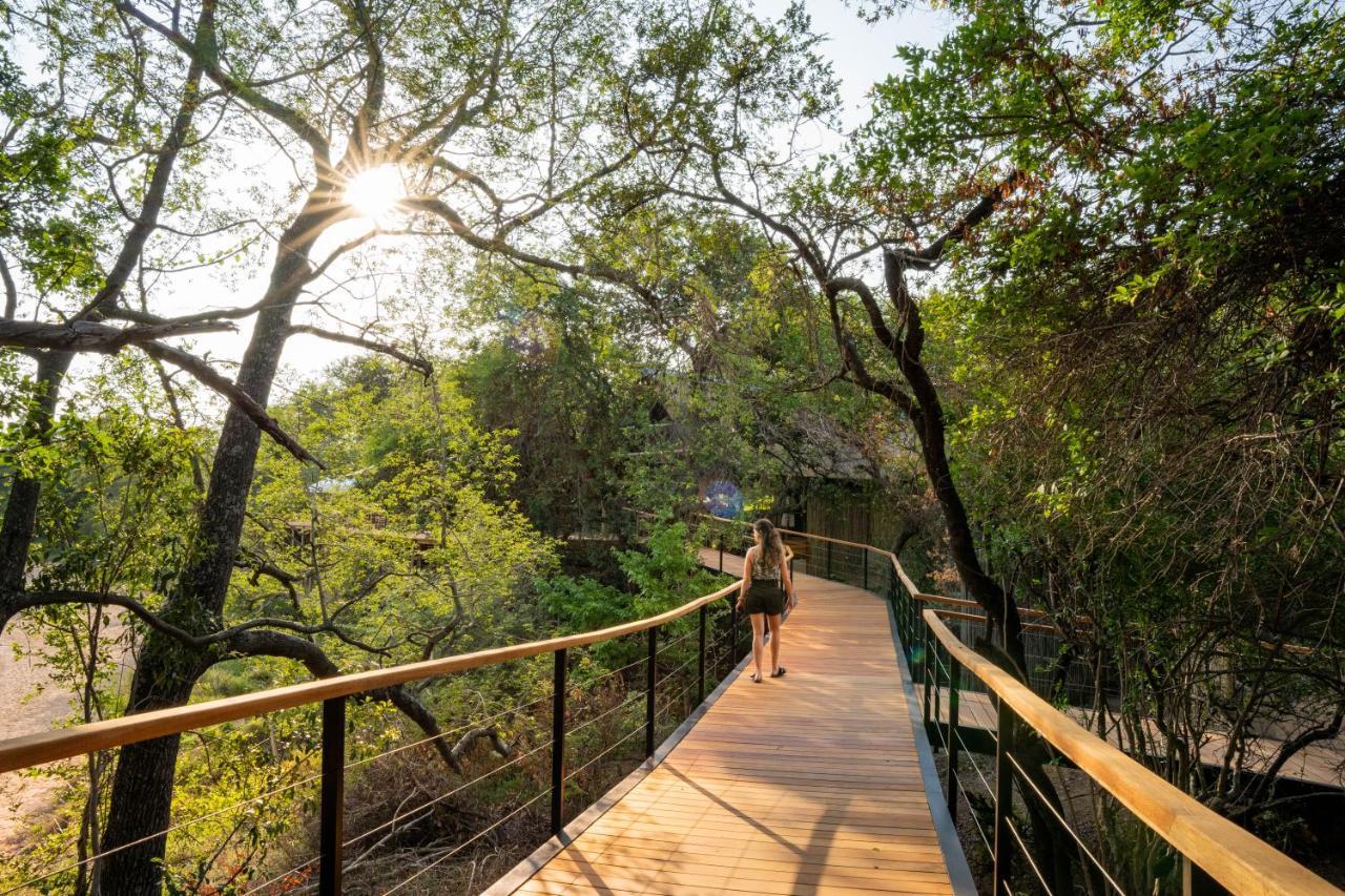 Thornybush Game Lodge Thornybush Game Reserve Exterior foto